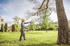 Best Arborist Consultation Services  in Bryant, WA